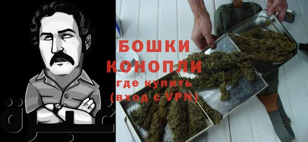 хмурый Нея
